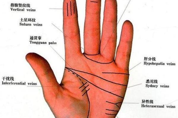 手相算命：几种重要的手纹图解