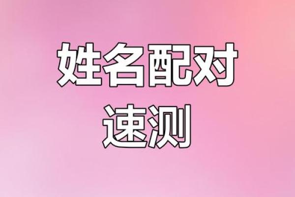 姓名配对查询软件下载 姓名配对专业版？