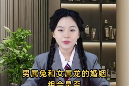 生肖兔与龙配对姻缘 生肖兔与龙相配吗？