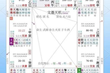 紫微斗数之各星曜所主行业：生死夭寿