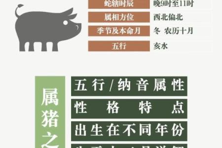 属猪的男孩出生吉日吉时是什么 属猪男孩出生的最佳时辰