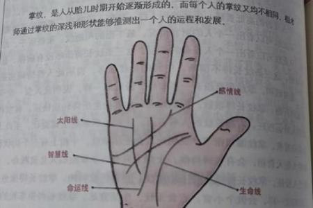 《手相学习百科》：双手之间的差异