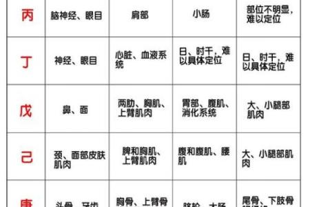 如何根据生辰八字算五行