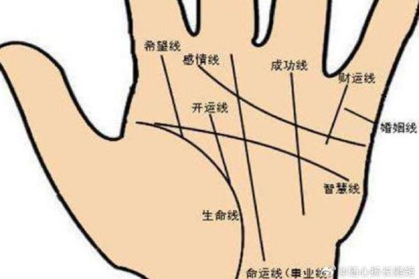 《手相学习百科》：命运线