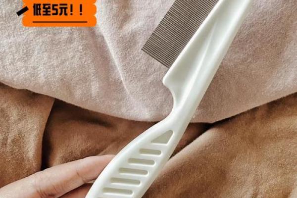 早晨梳子断了有什么预兆风水讲究