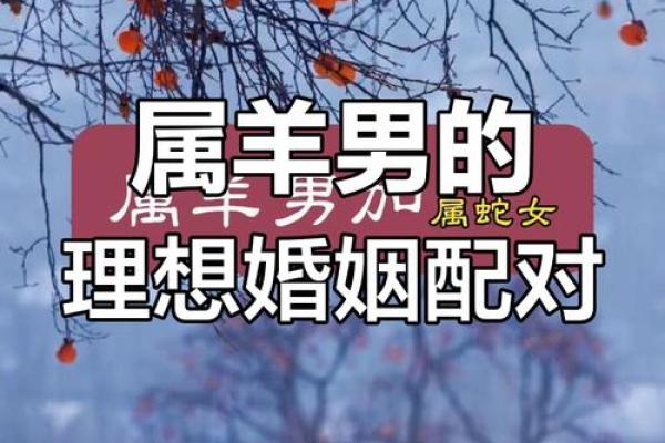 羊跟什么生肖配对最好 生肖羊最佳配对