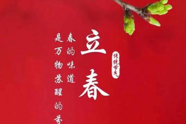 什么是立春的风水