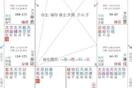 紫薇斗数夫妻宫太阴陷
