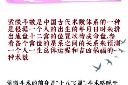 紫薇斗数中国网