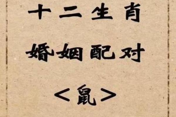 属鼠女金牛座配对合适吗