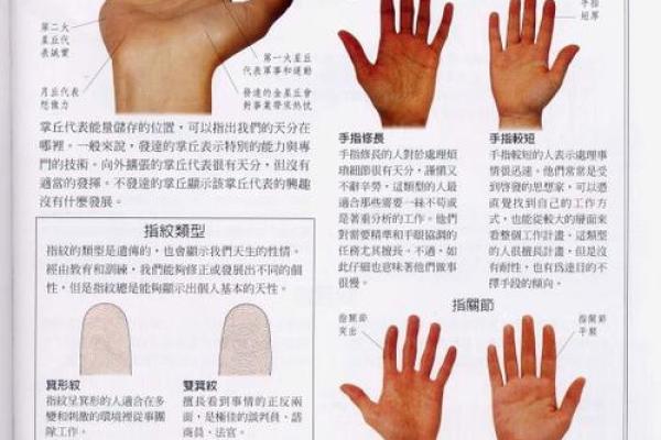 《手相学习百科》：手相重要辅线