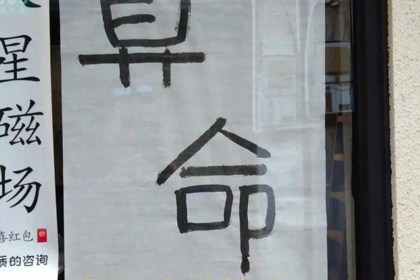 百分算命