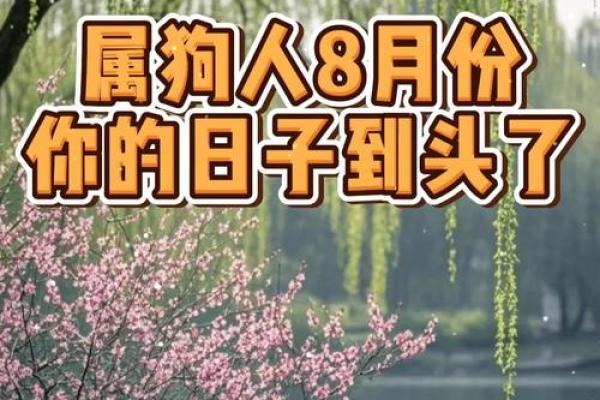 属狗男今年结婚吉日 属狗男今年结婚吉日有哪些？