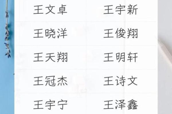 全国姓名配对大普查 姓名配对率？
