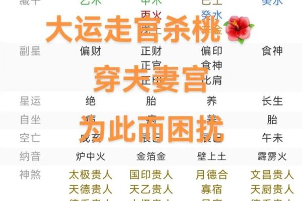 犯桃花的八字