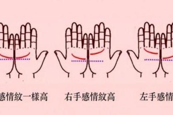 《手相学习百科》：感情线