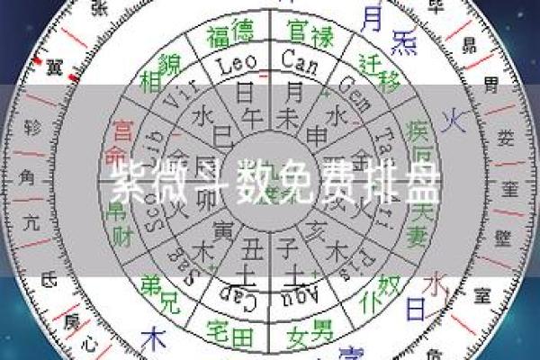紫薇斗数等级