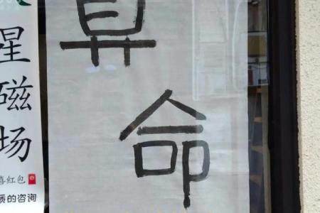 百分算命