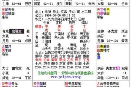 家境好的紫薇斗数