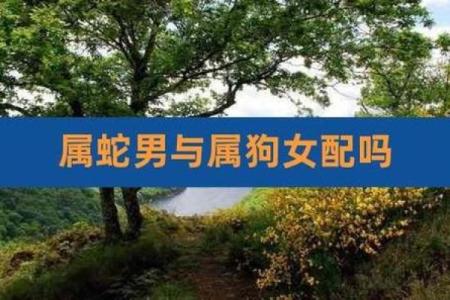 属蛇的女人和什么属相最配对 属蛇的女人和什么属相最配婚姻