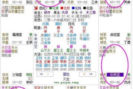 紫薇斗数等级