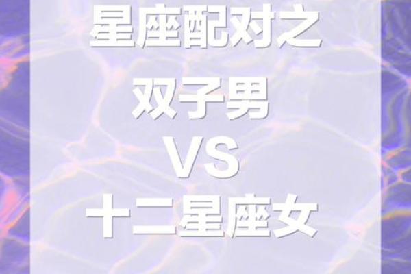双子男适合找什么星座的