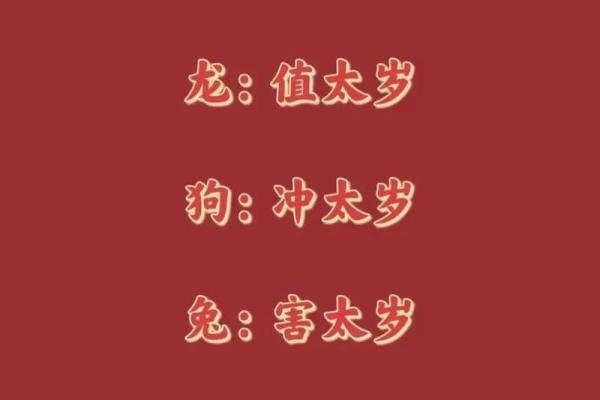 最准算命网免费算命2024年