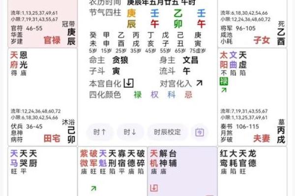 紫薇斗数文章