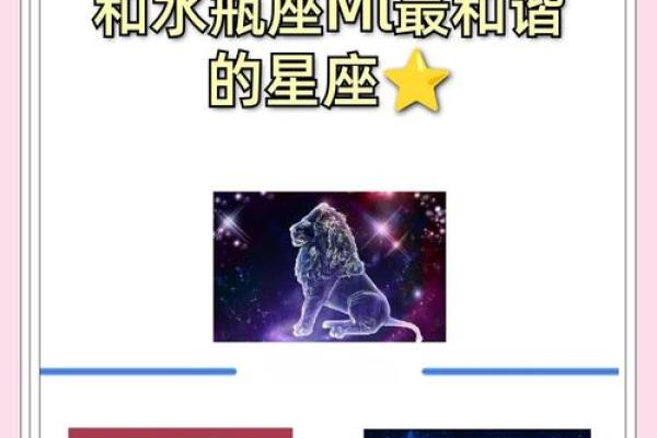 水瓶的女生和哪个星座最配