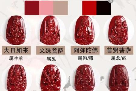 十二生肖：本命方位干净整洁，好运连连