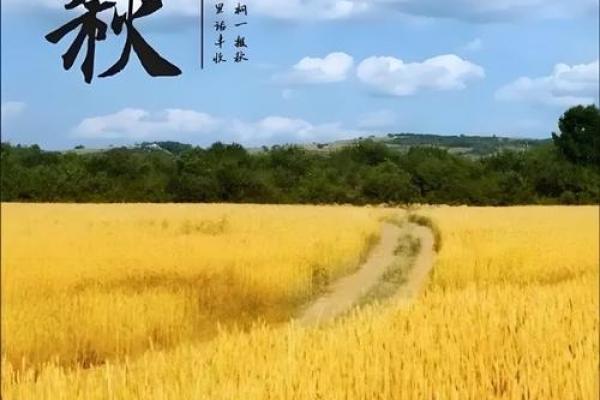 立秋八字