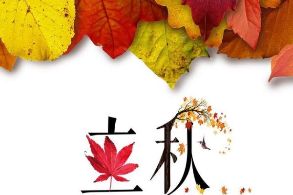 立秋八字
