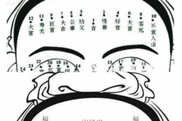 发际线的面相风水，你知道吗