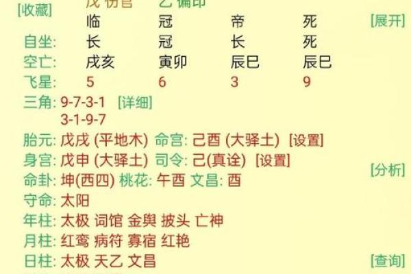 八字丁酉