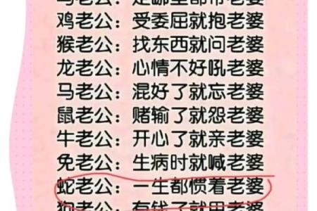 婚姻配对属蛇和属猪相克怎么办