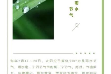 雨水的民俗活动 雨水的由来简介
