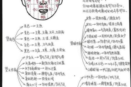 脸的各部位胎记算命详解
