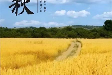 立秋八字