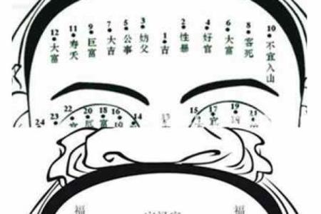 发际线的面相风水，你知道吗