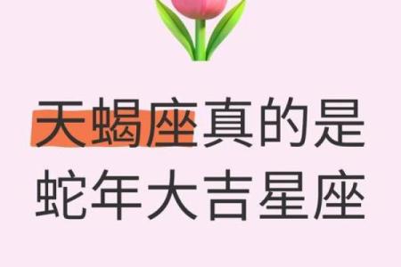 哪个风象星座最适合天蝎座女生