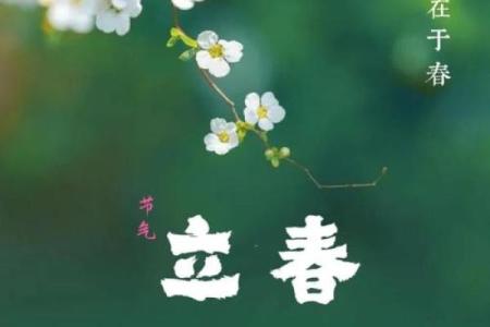 立春有哪些节日风俗 立春有关的诗句