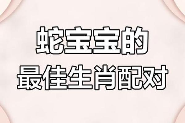 蛇跟什么生肖配对最好 生肖蛇最佳配对