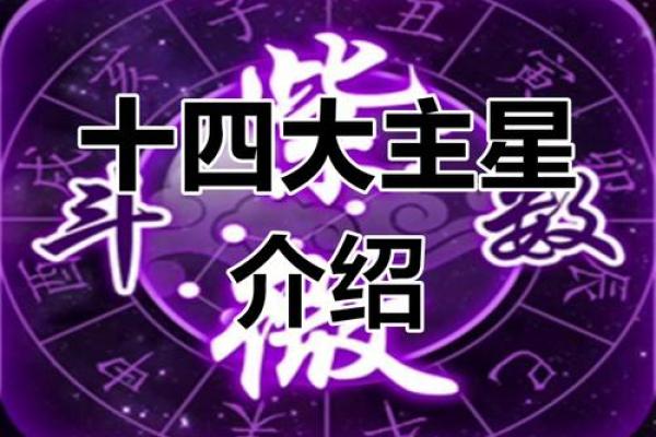 紫微斗数视频教学 紫微斗数视频教学好的推荐？