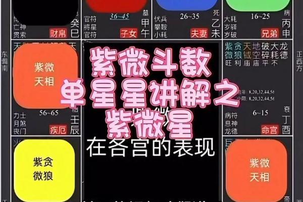 紫微斗数视频教学 紫微斗数视频教学好的推荐？
