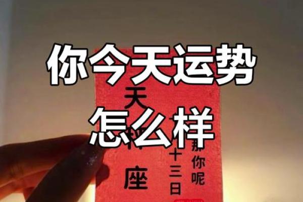 阴历10月十三日星座运势