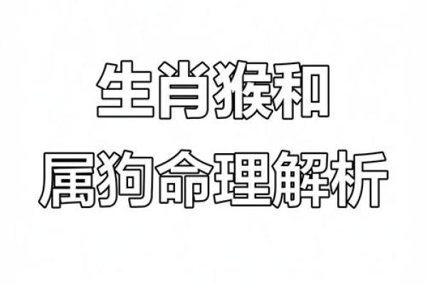 1994年生肖狗命的八字分析与运势预测