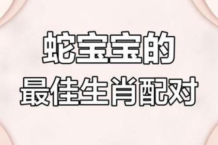 蛇跟什么生肖配对最好 生肖蛇最佳配对