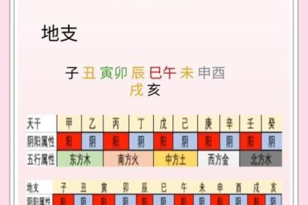 八字十天干的特点要义（下）