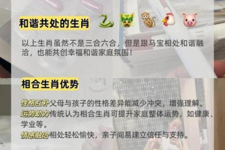 90属马人和96属鼠人配对  两人可以结婚吗