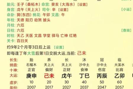 自刑的八字